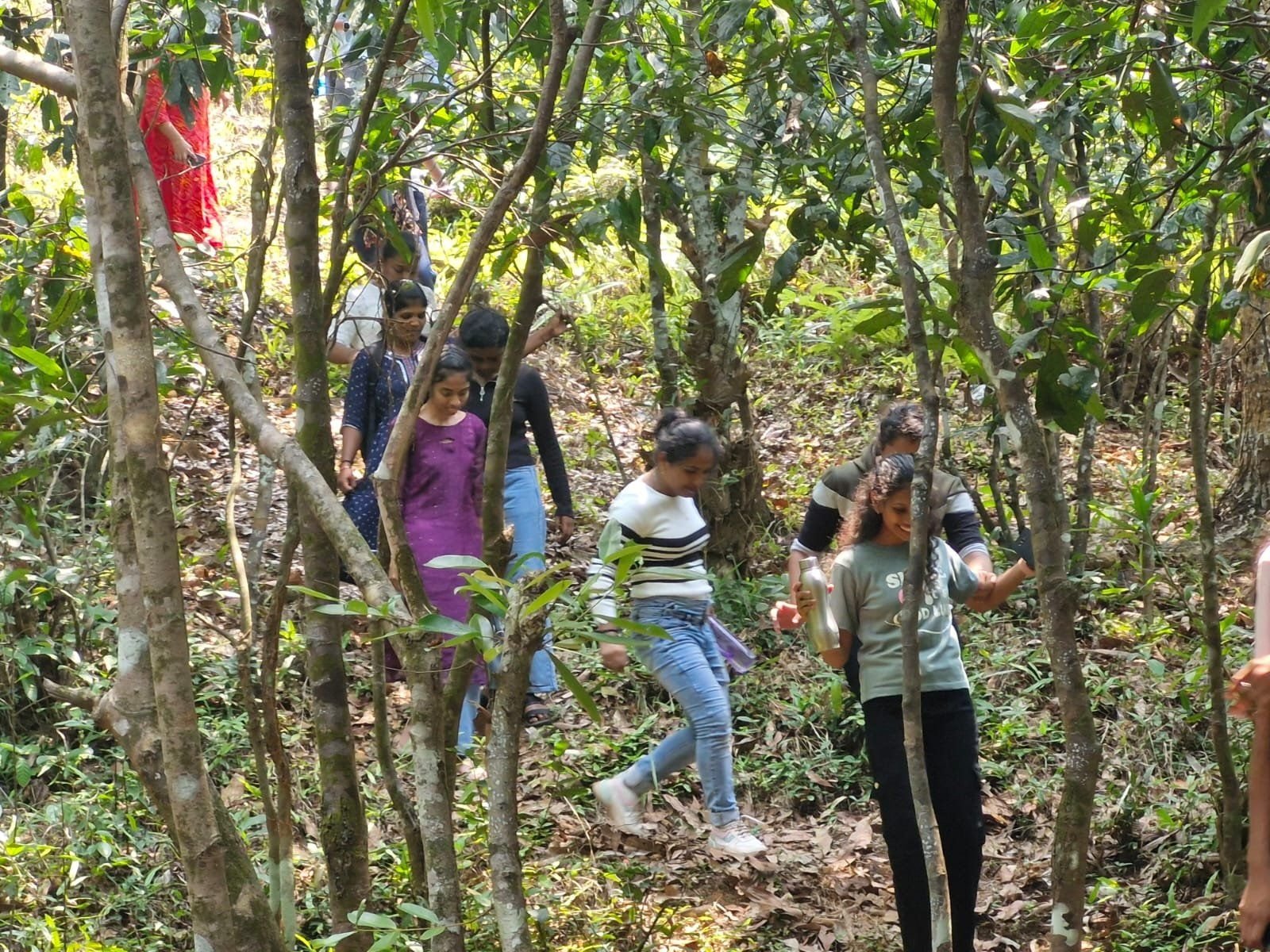Students on a field visit